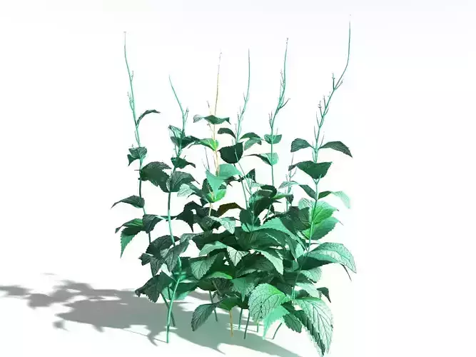 EVERYPlant Dog Mercury LowPoly -18 Models- Low-poly 3D model