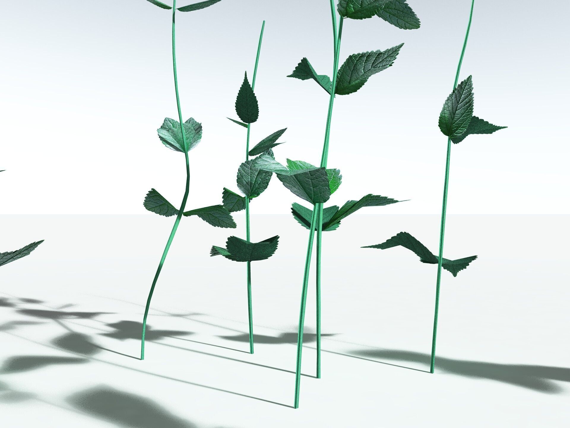 EVERYPlant Dog Mercury LowPoly Low-poly 3D model_27