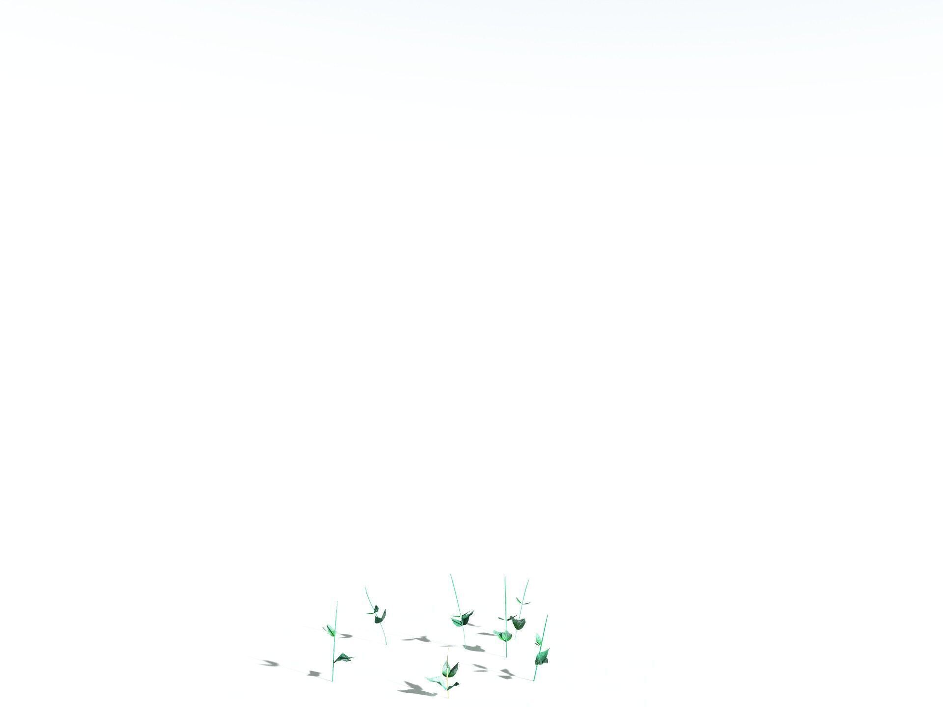 EVERYPlant Dog Mercury LowPoly Low-poly 3D model_28