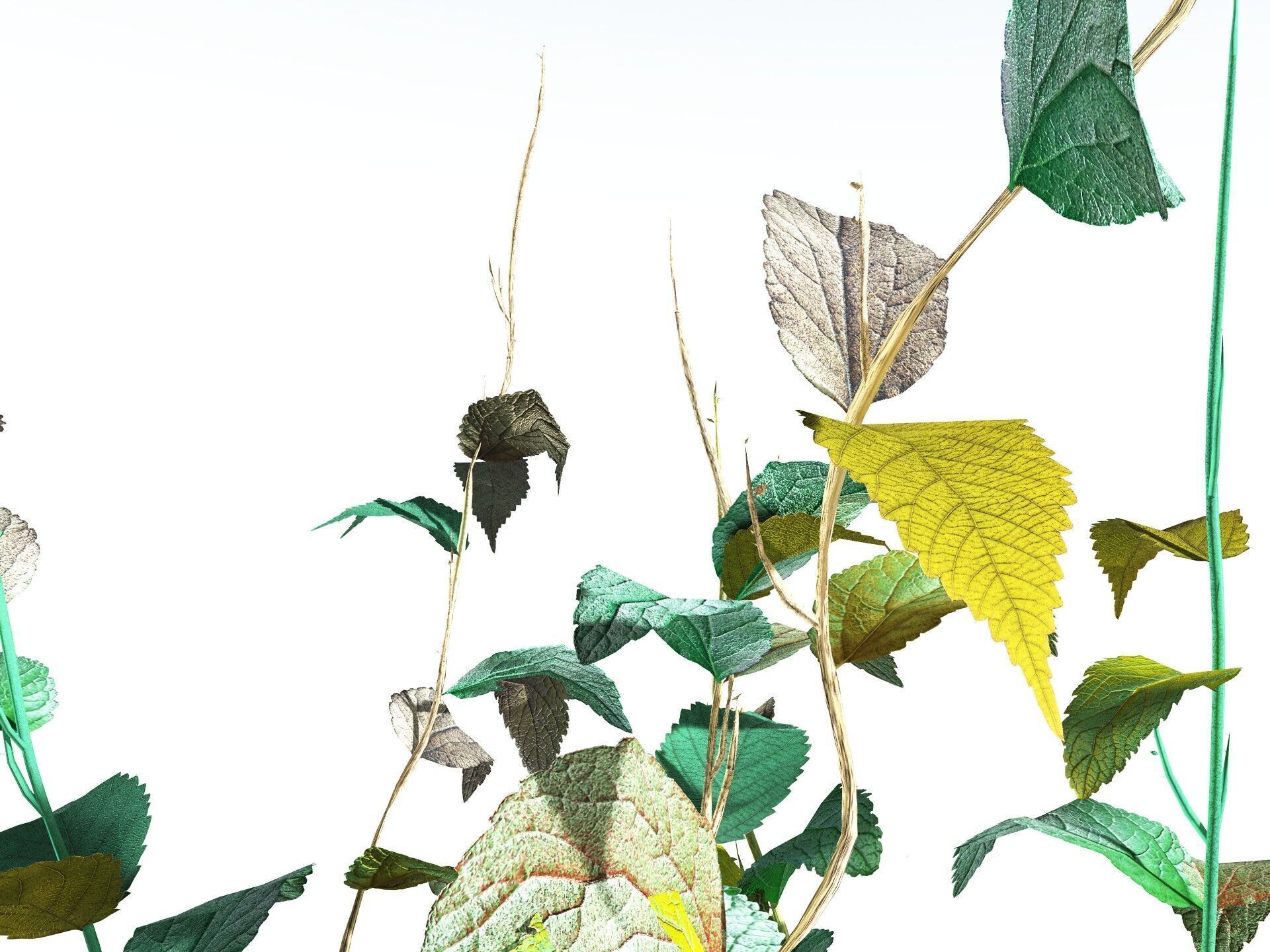 EVERYPlant Dog Mercury LowPoly Low-poly 3D model_15