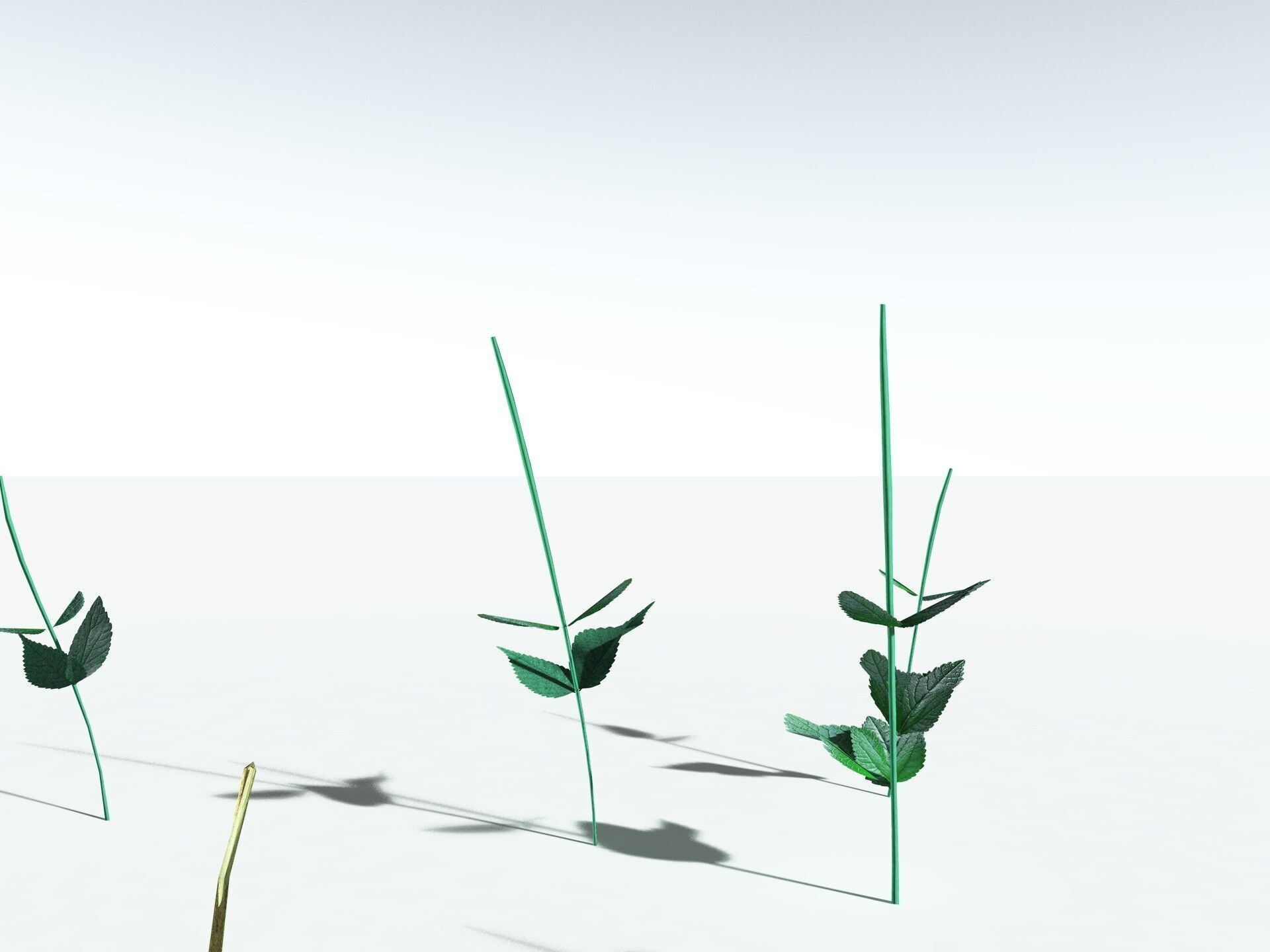 EVERYPlant Dog Mercury LowPoly Low-poly 3D model_29