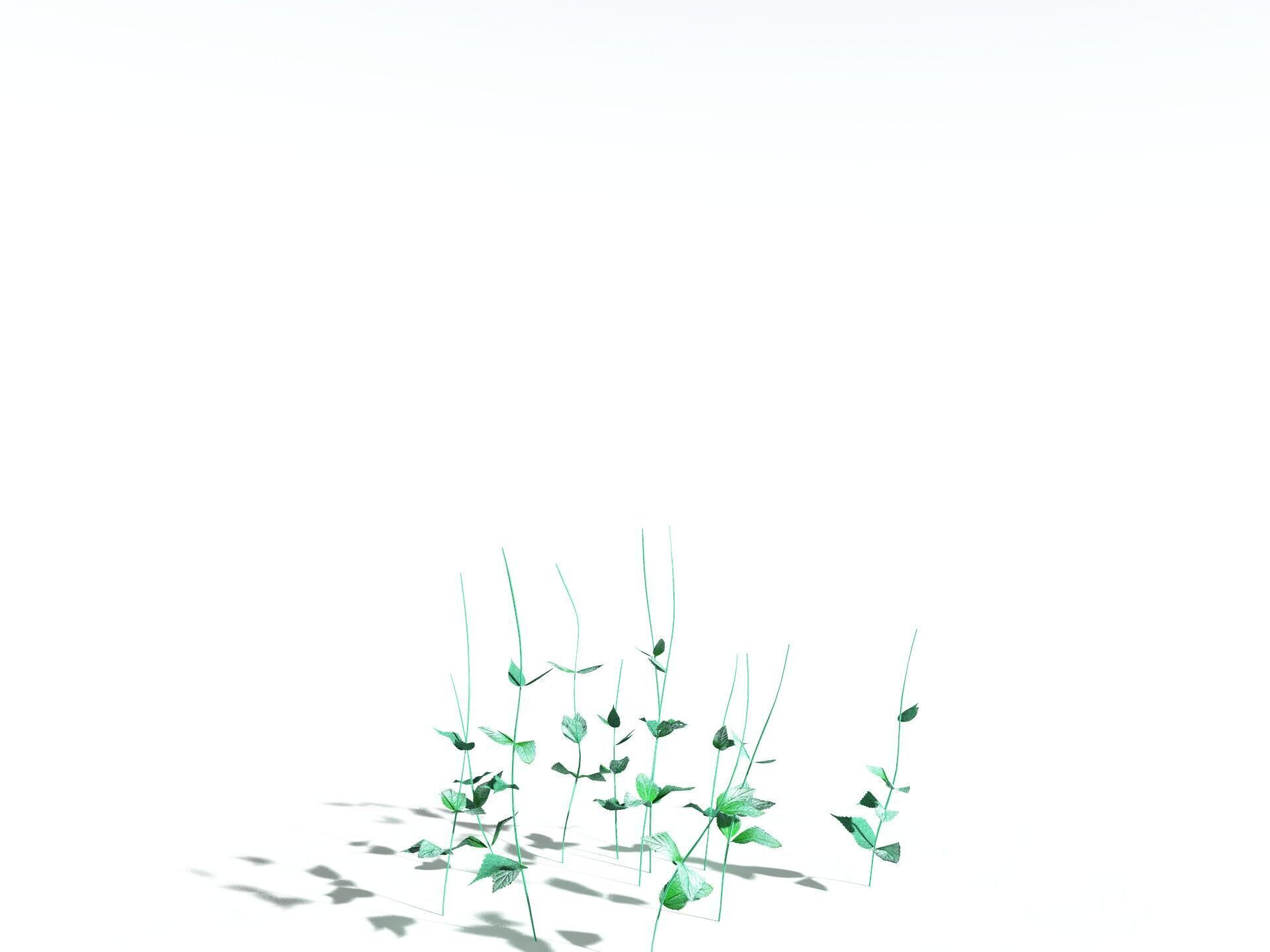 EVERYPlant Dog Mercury LowPoly Low-poly 3D model_26