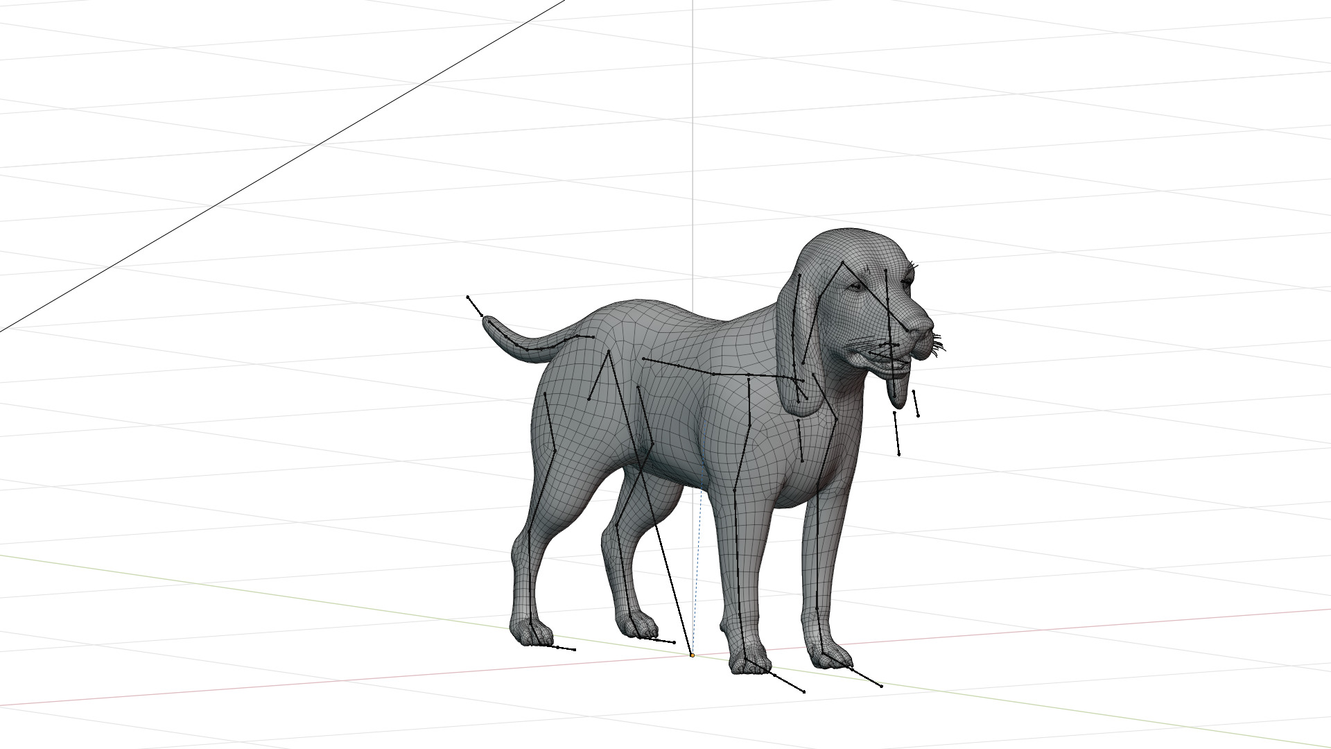 Field Spaniel Dog Low-poly 3D model_36