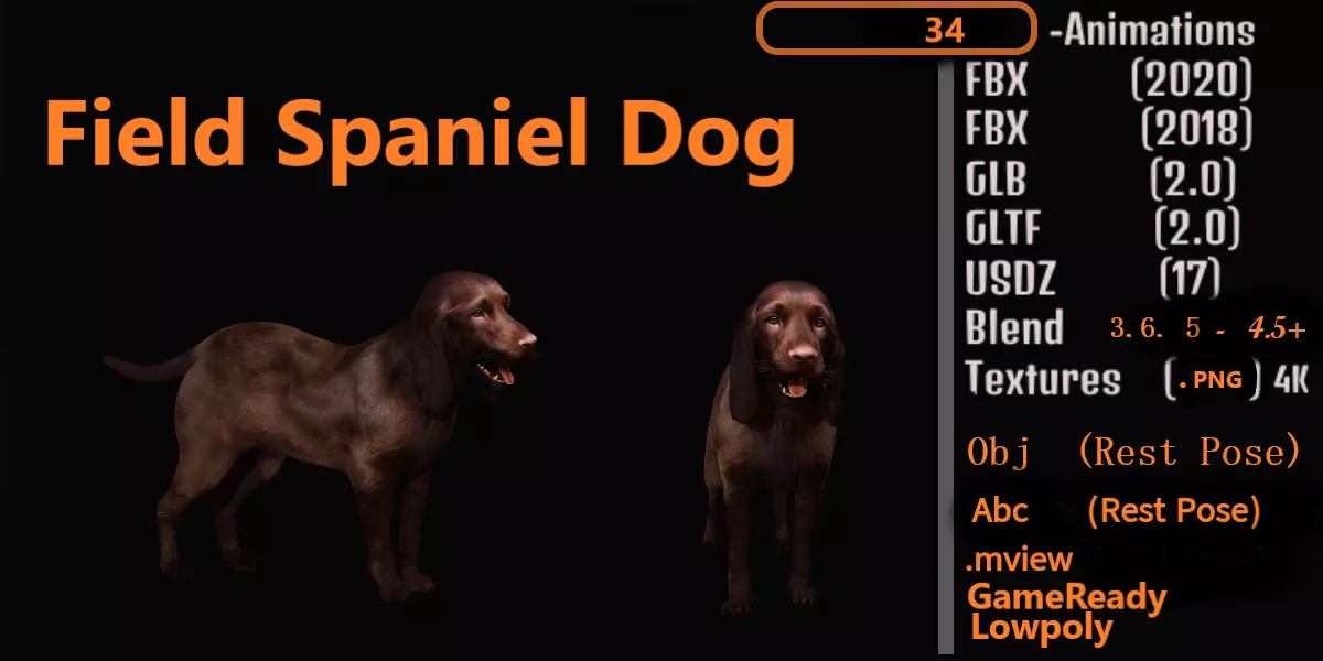 Field Spaniel Dog Low-poly 3D model_0