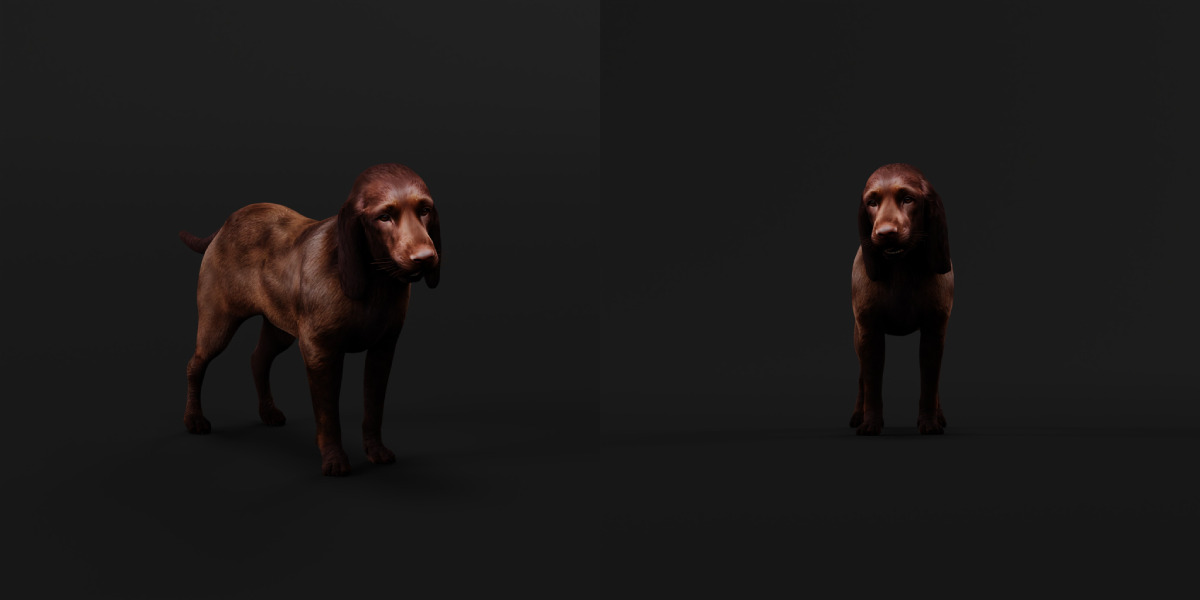 Field Spaniel Dog Low-poly 3D model_5