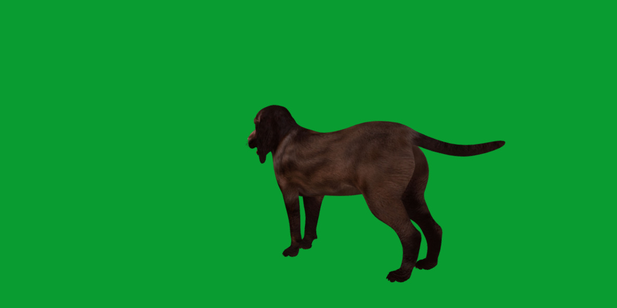 Field Spaniel Dog Low-poly 3D model_32