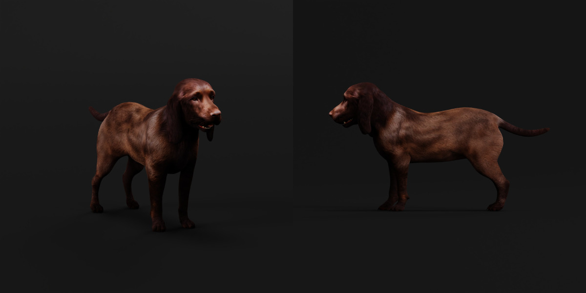 Field Spaniel Dog Low-poly 3D model_15