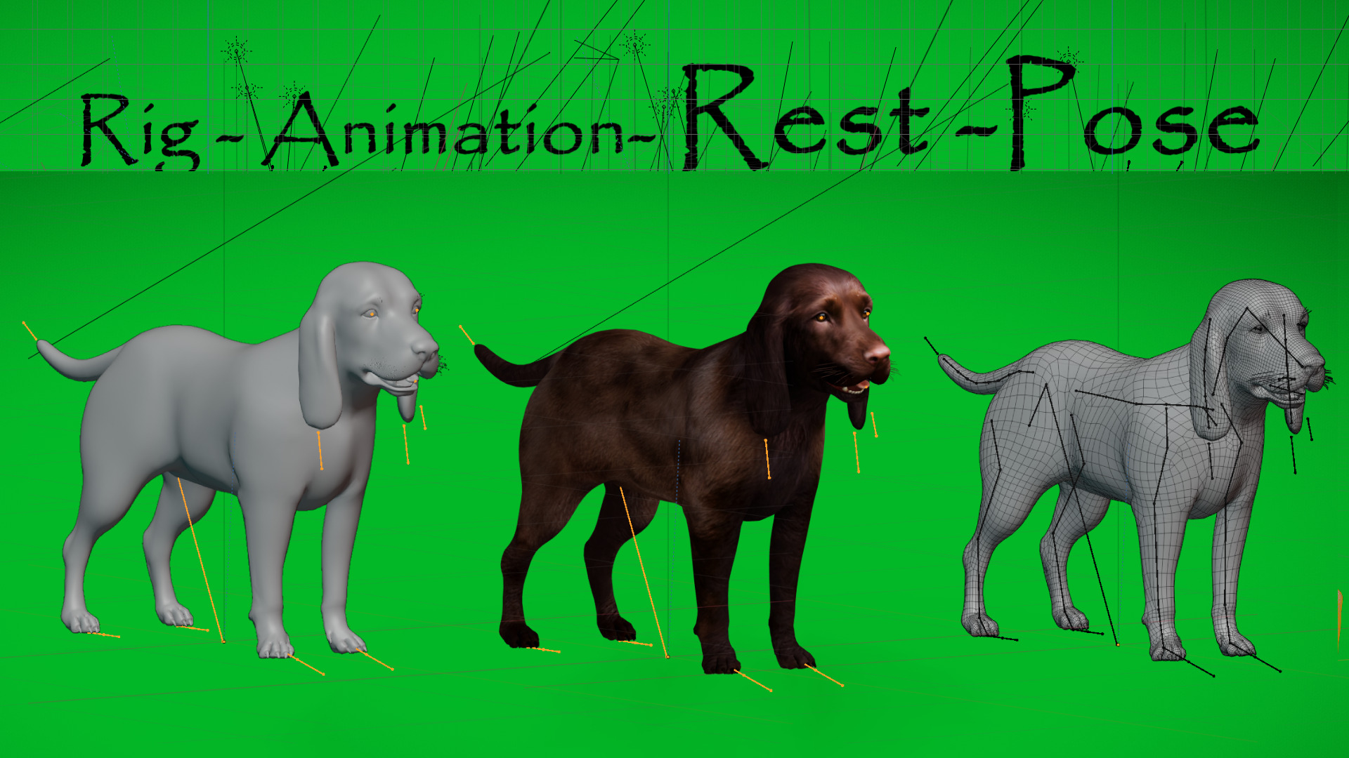 Field Spaniel Dog Low-poly 3D model_11