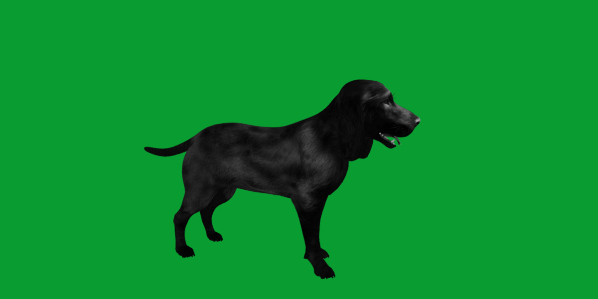 Field Spaniel Dog Low-poly 3D model_21