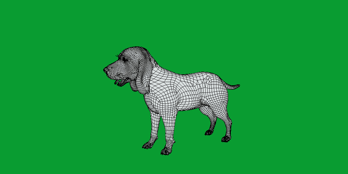 Field Spaniel Dog Low-poly 3D model_20