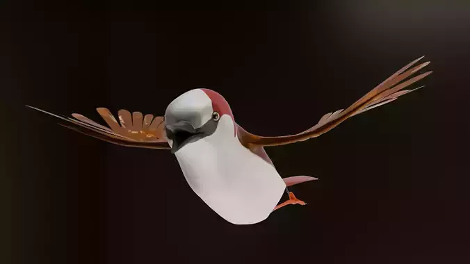 Animated Bird in Flight  Fully Rigged 3D Model for Games Renders