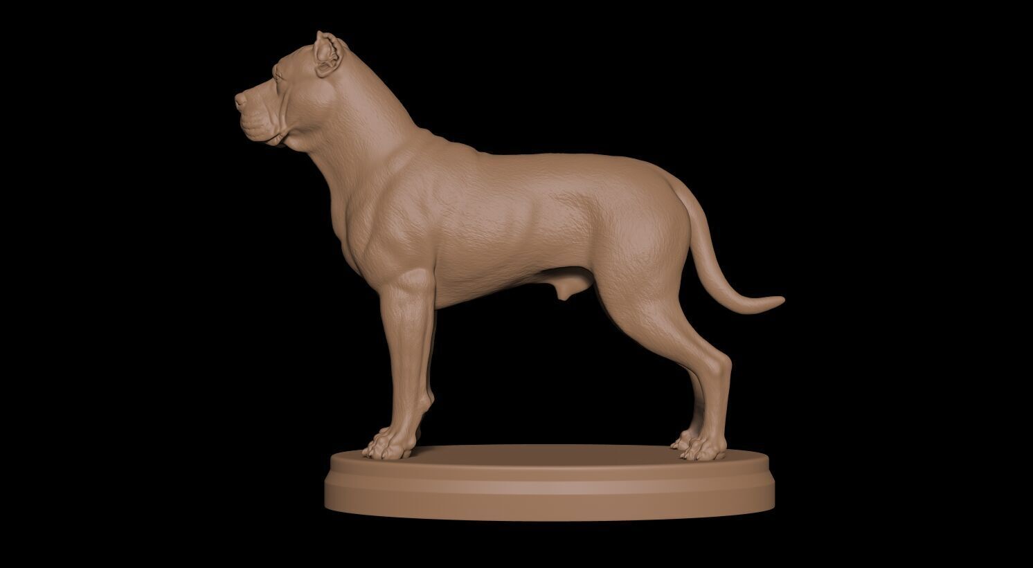 Presa Canario 3D print model_1
