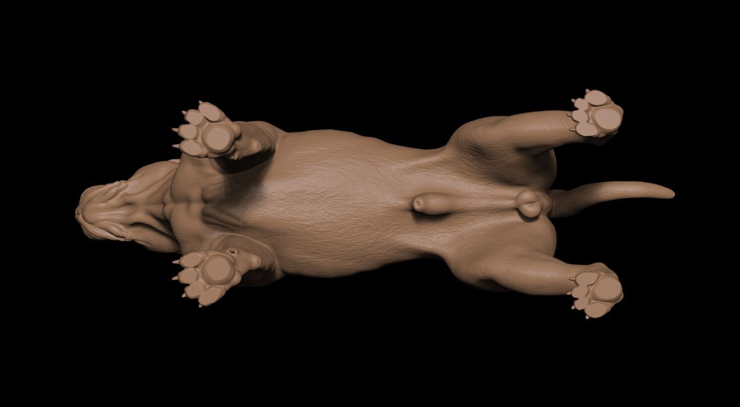 Presa Canario 3D print model_15