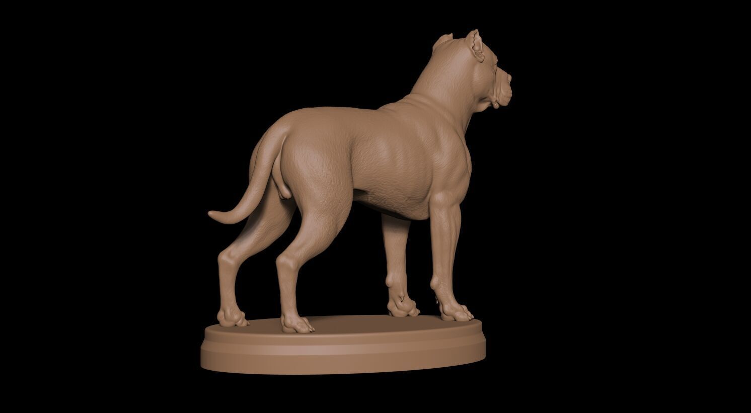 Presa Canario 3D print model_5