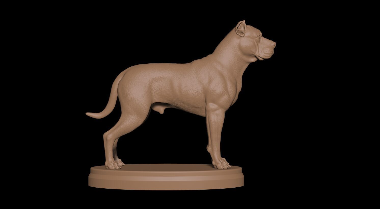 Presa Canario 3D print model_6
