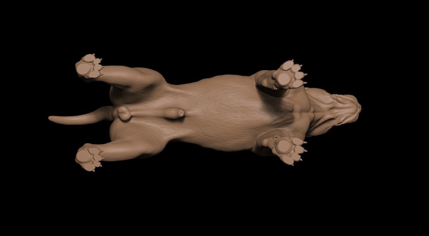 Presa Canario 3D print model_14