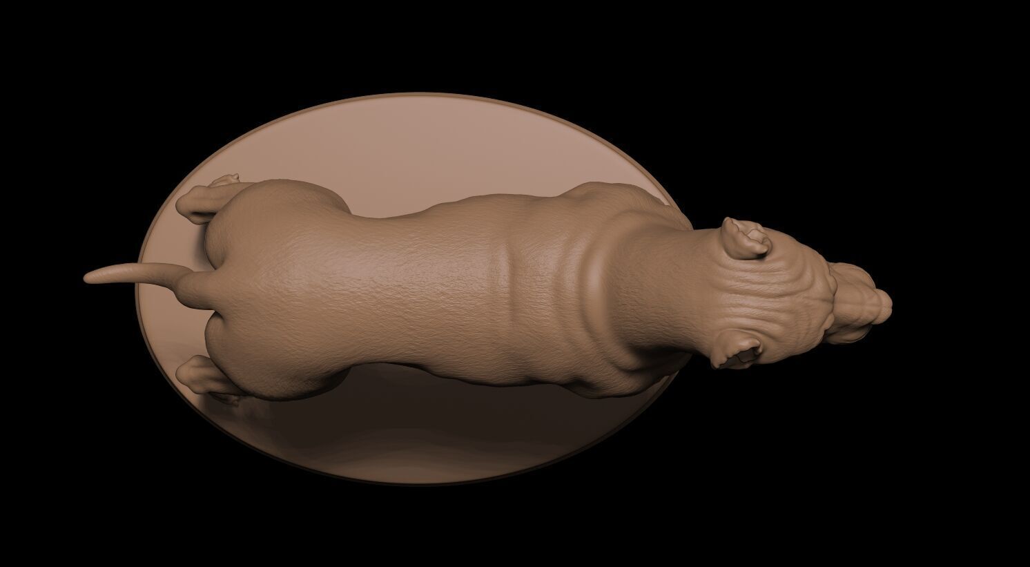 Presa Canario 3D print model_12