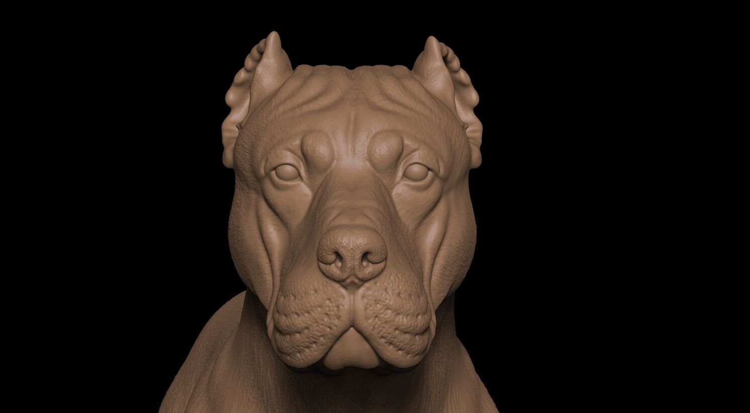 Presa Canario 3D print model_16