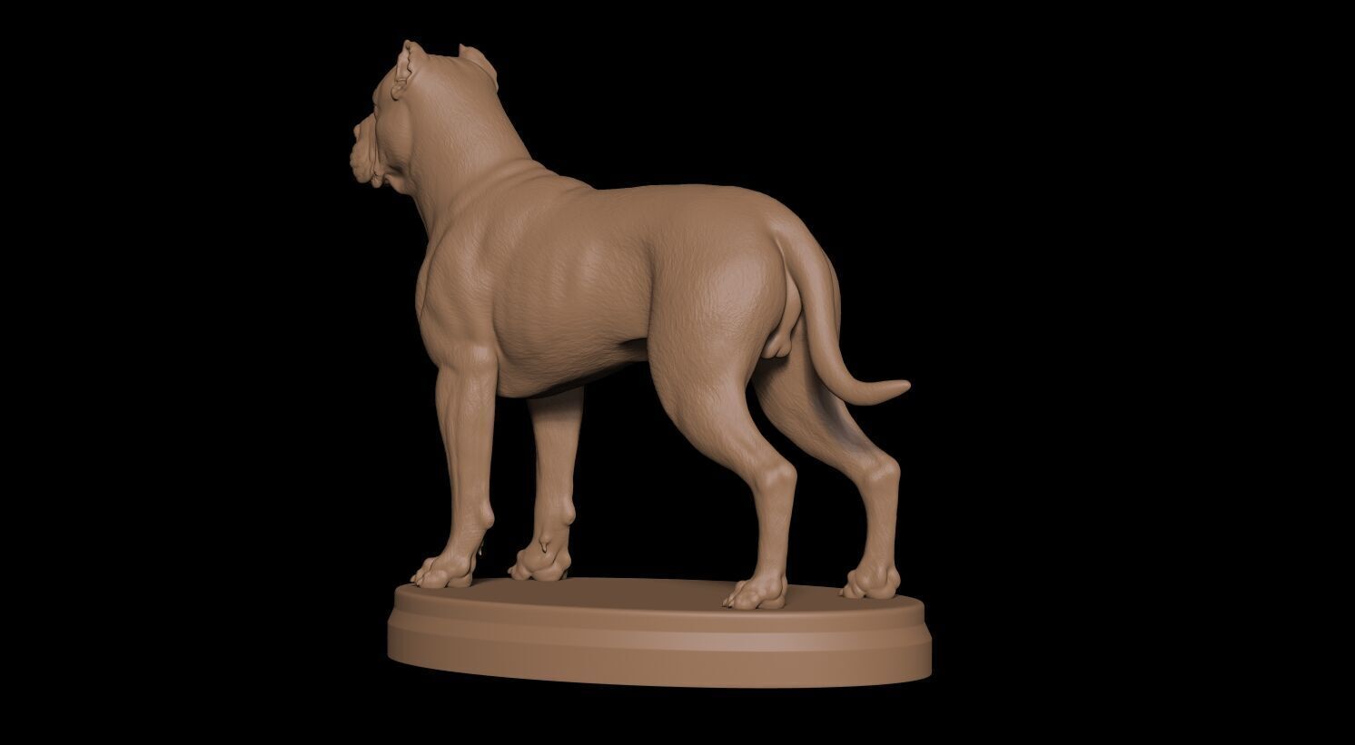 Presa Canario 3D print model_11