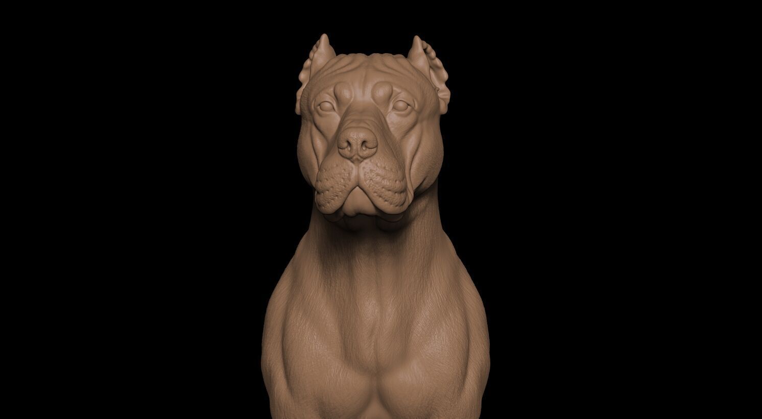 Presa Canario 3D print model_19