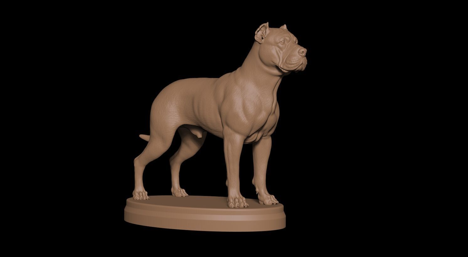 Presa Canario 3D print model_7