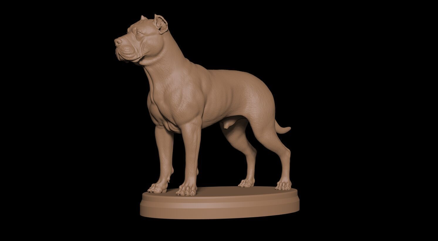 Presa Canario 3D print model_2
