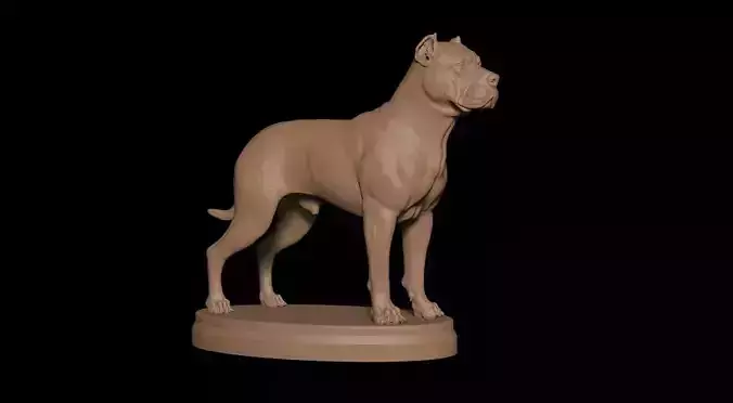 Presa Canario 3D print model