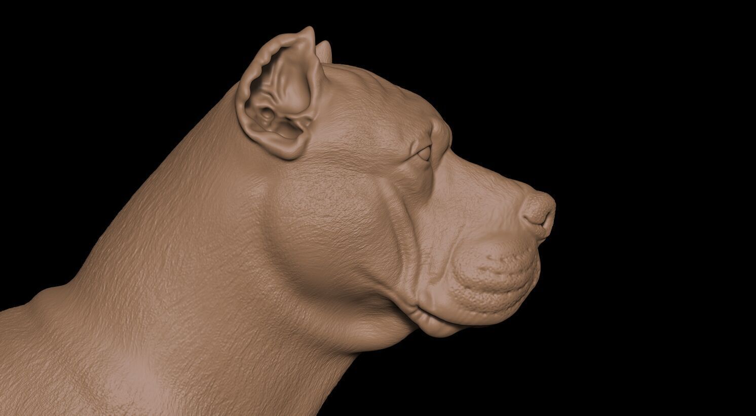 Presa Canario 3D print model_17