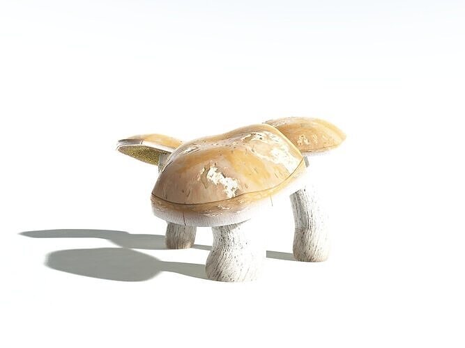 EVERYPlant King Bolete -14 Models- 3D model