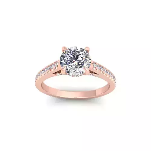 Round Engagement Diamond Ring 3d Model and Render