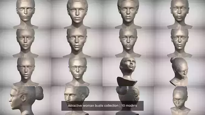 Attractive woman busts collection