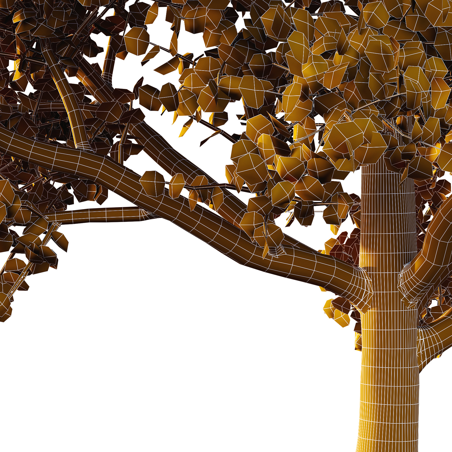 Acer Pseudoplatanus Tree 01 3D model_3