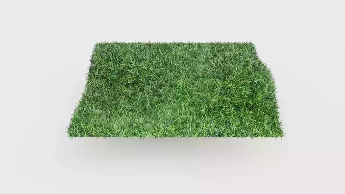 GRASS 3D MODEL