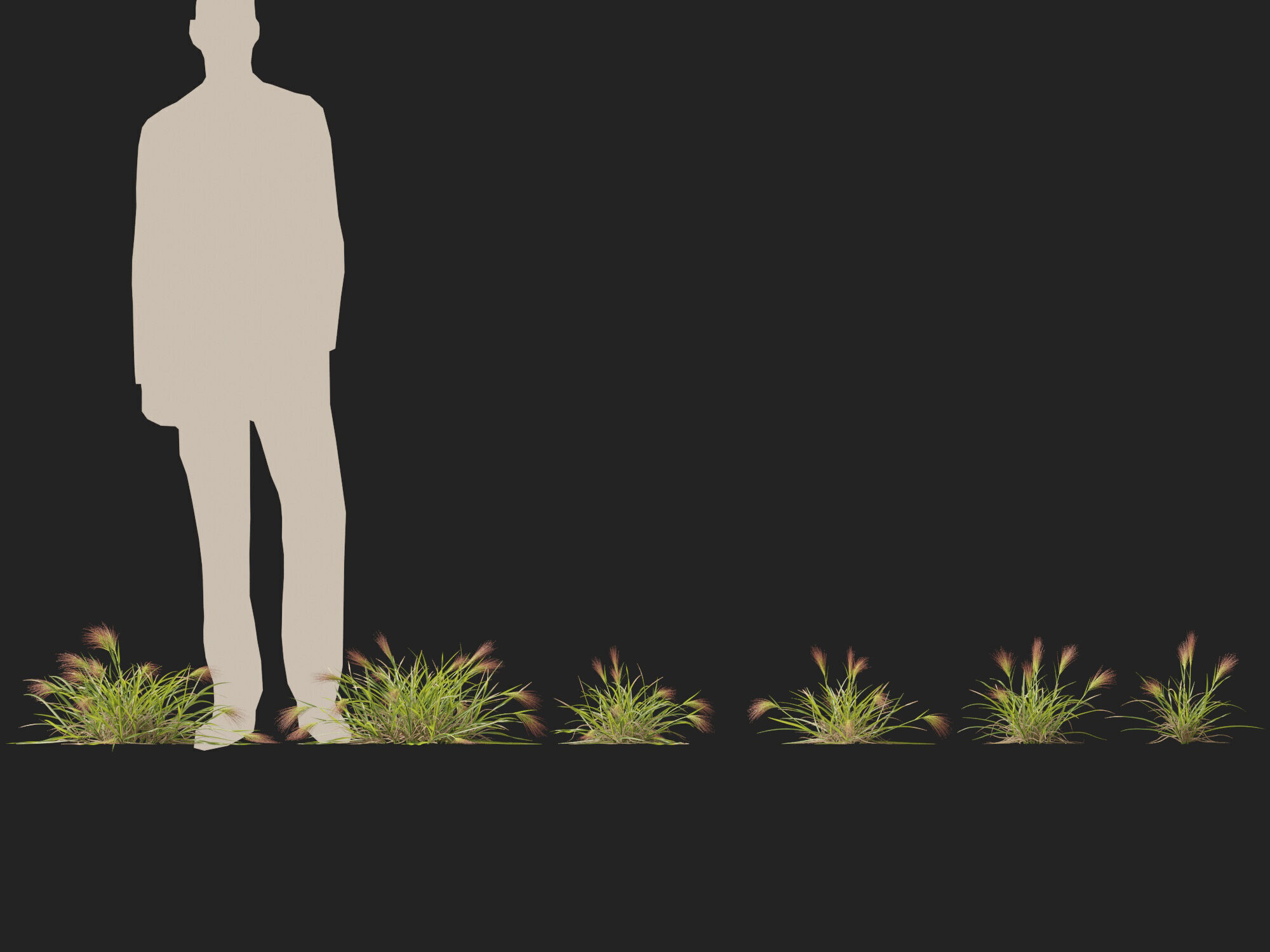 Highpoly - Low poly - Aristida behriana - Bunch Wiregrass Low-poly 3D model_5