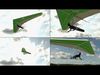 Hang Glider With Pilot- 4K PBR Low-poly 3D model_1