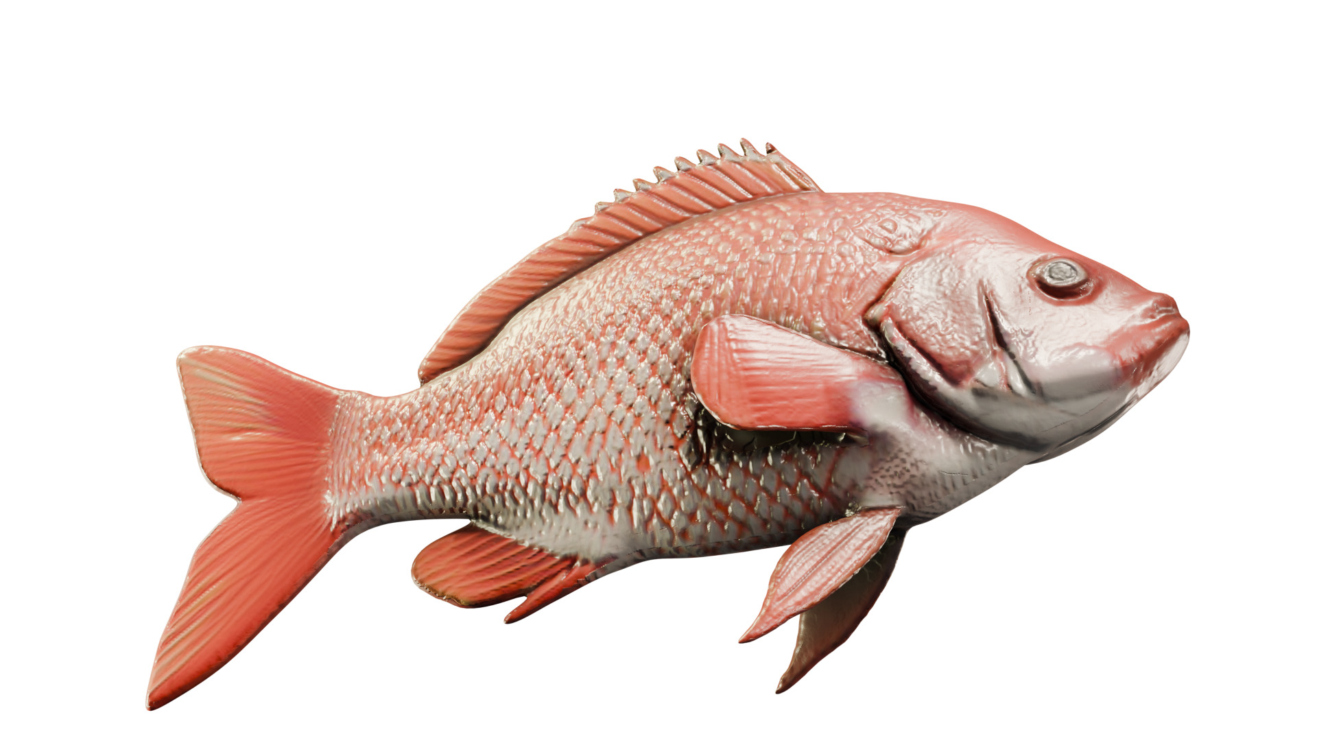 Red Snapper Fish Mid Poly 3D Model for Render and Concept Use Low-poly 3D model_3