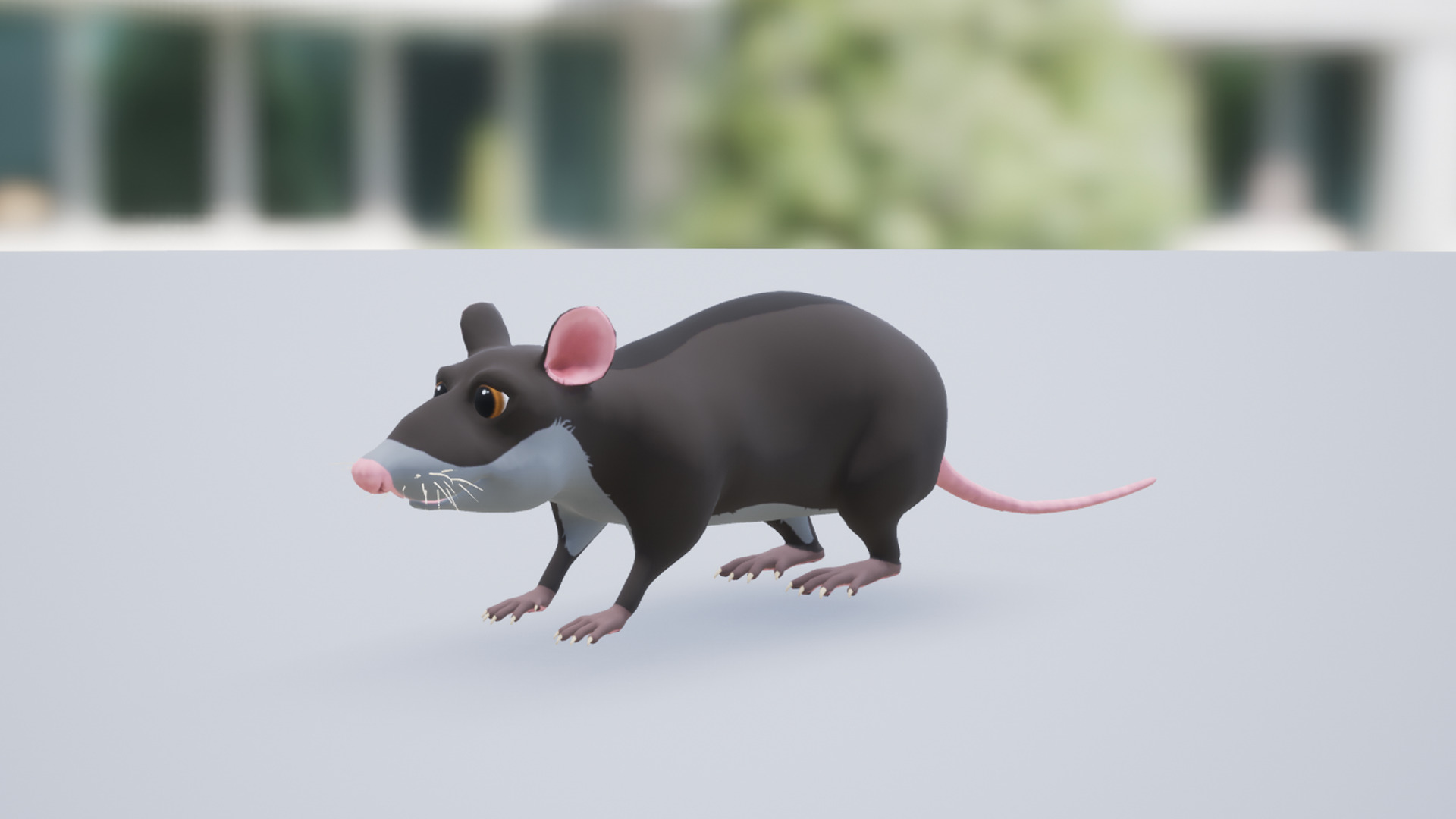 Cartoon small animals pack Low-poly 3D model_22