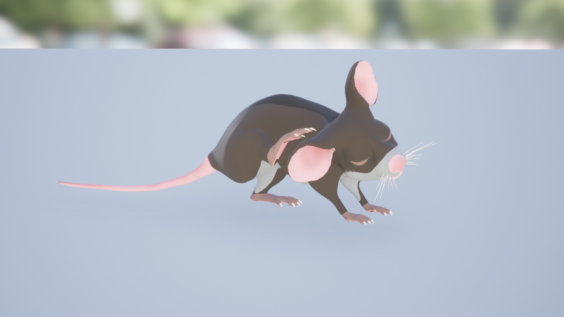 Cartoon small animals pack Low-poly 3D model_16