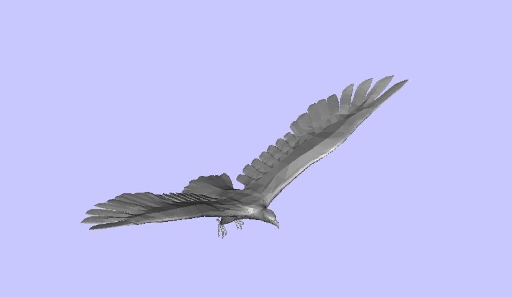 eagle in flight Free 3D model_0