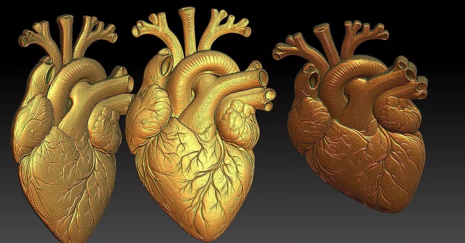 1 heart CNC Relief Model 3D print model