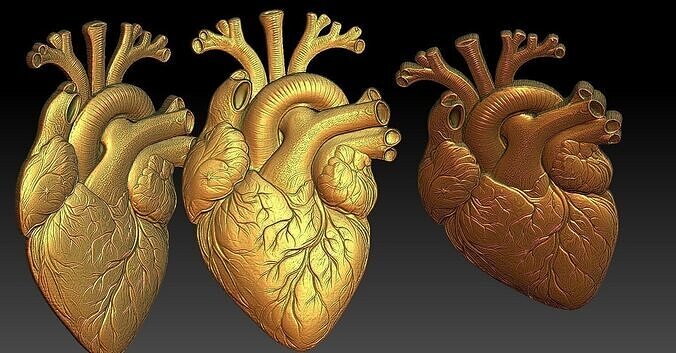 1 heart CNC Relief Model 3D print model