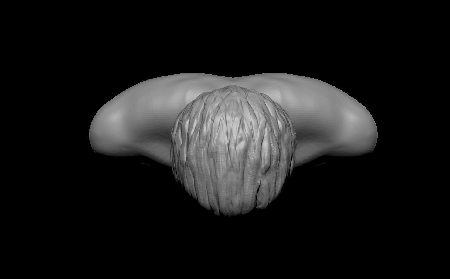 Sculpted Male Head Zbrush 3D model_2