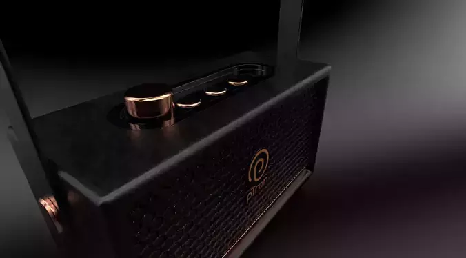Ptron AMP  music box