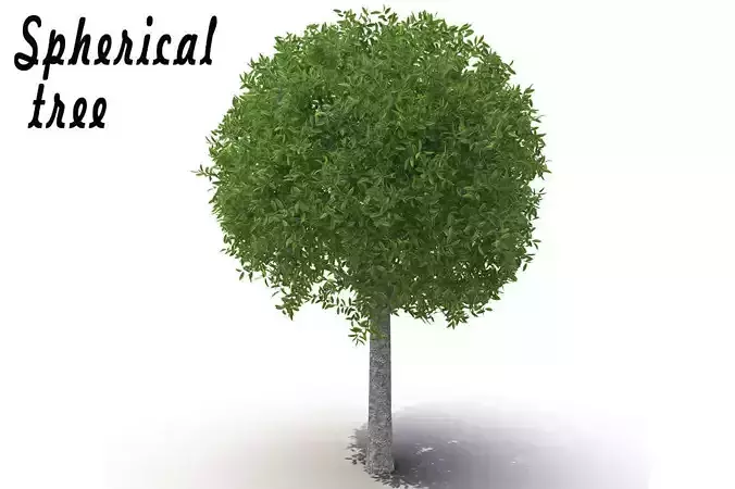 Spherical tree 3D model