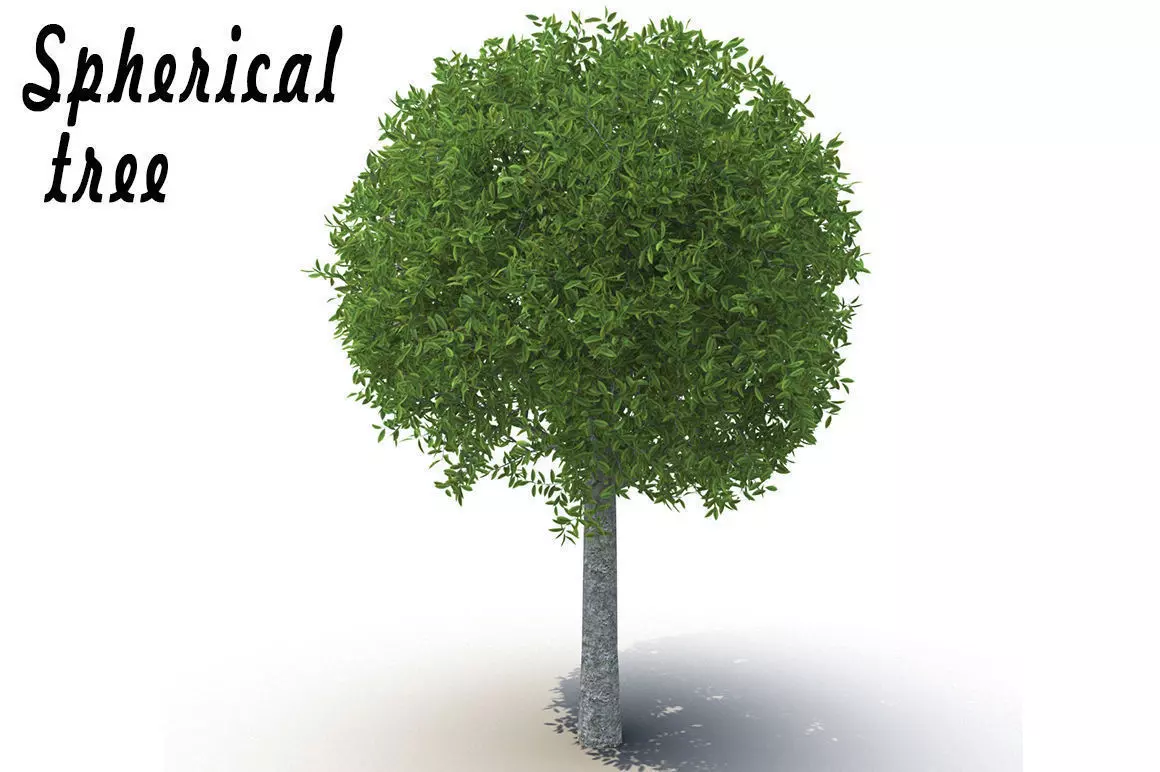 Spherical tree 3D model
