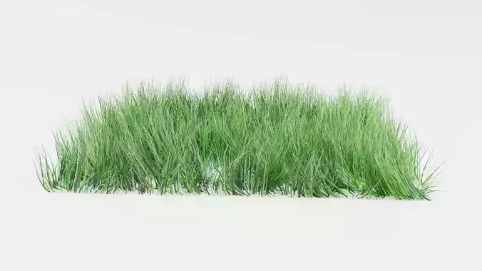 Lawn Grass Model for Exteriors 3D 3D model