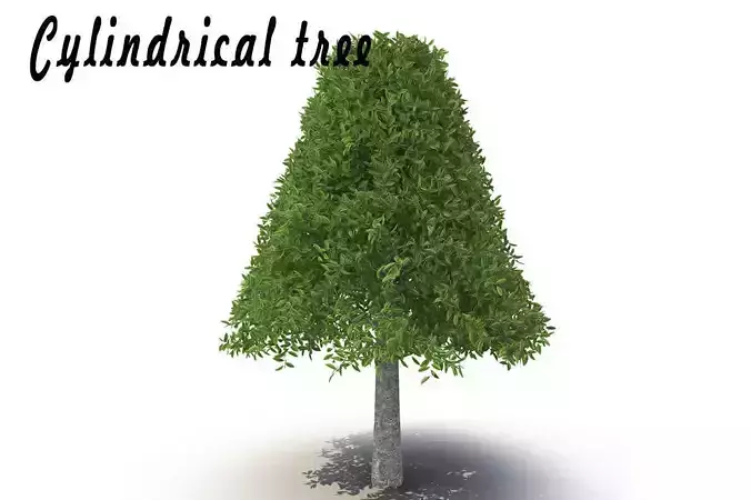 Cylindrical tree 3D model