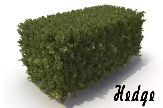 Hedge 3D model