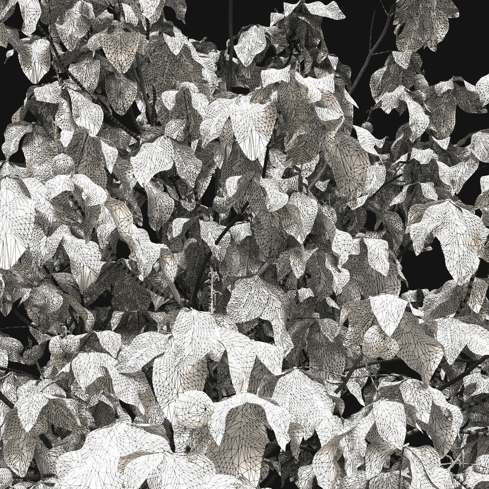 Aesculus x carnea briotii 101SU - Red Horse Chestnut 3D model_11