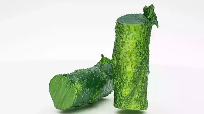 Apricot firewood log 3d scan 